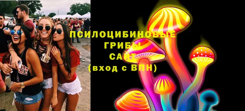 Галлюциногенные грибы MAGIC MUSHROOMS  hydra ТОР  Новокузнецк  где найти  